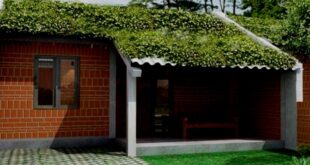 Intip 5 Model Rumah Mungil Ramah Lingkungan Nyaman Ditempati
