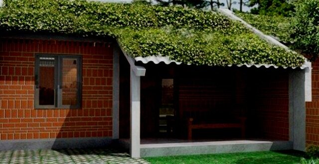 Intip 5 Model Rumah Mungil Ramah Lingkungan Nyaman Ditempati