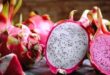 Manfaat Masker Buah Naga untuk Wajah Mengobati Jerawat Hingga Melembapkan Kulit