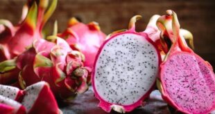 Manfaat Masker Buah Naga untuk Wajah Mengobati Jerawat Hingga Melembapkan Kulit